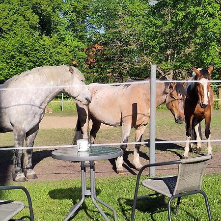 Ferienwohnung Zur Pferdekoppel Bomitz Bagian luar foto